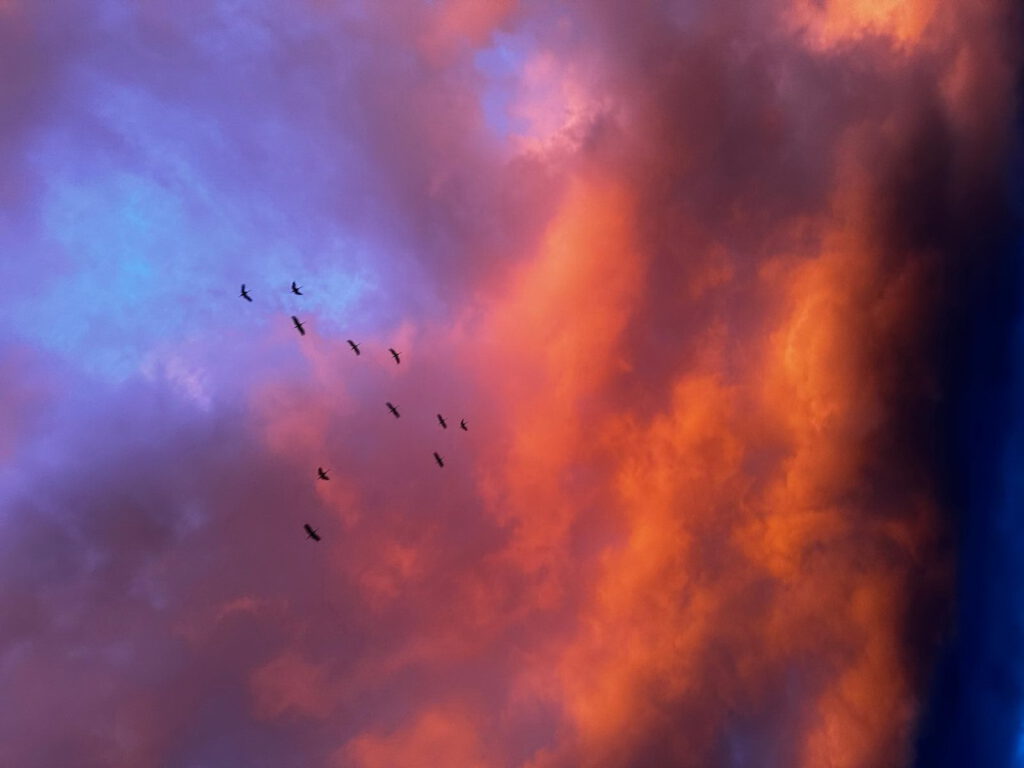 Indien: Hanna Mattes & Eva Mattes | Indien: Hanna Mattes & Eva Mattes