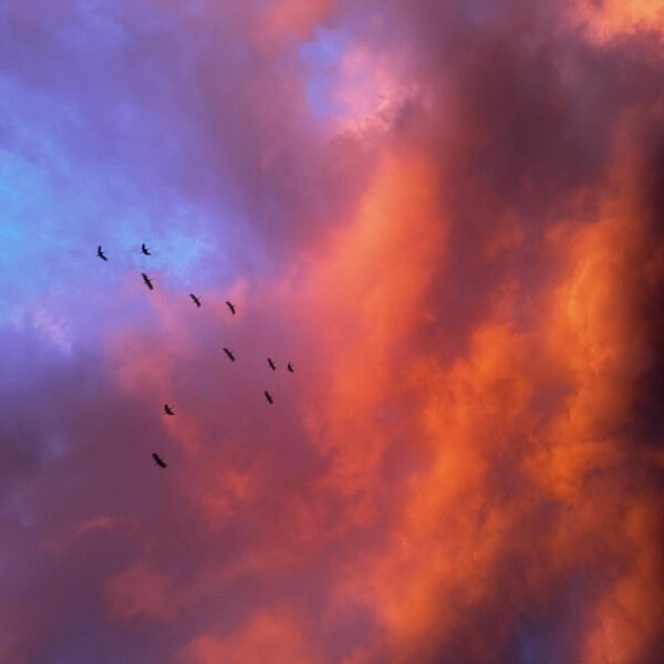 Indien: Hanna Mattes & Eva Mattes | Indien: Hanna Mattes & Eva Mattes